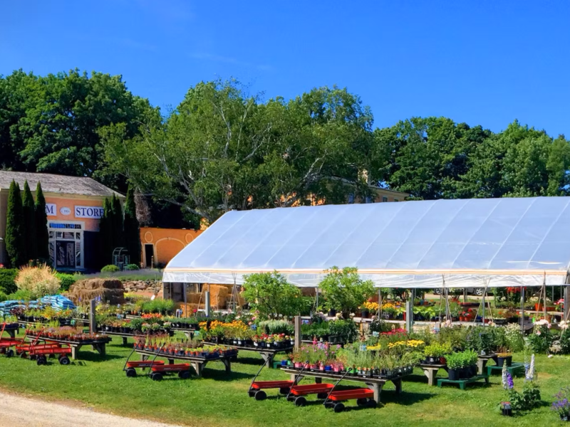 Wallingford Farm
