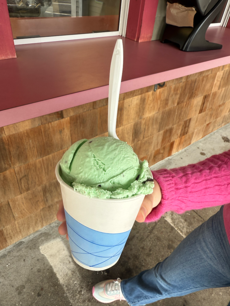 Mint chocolate chiip