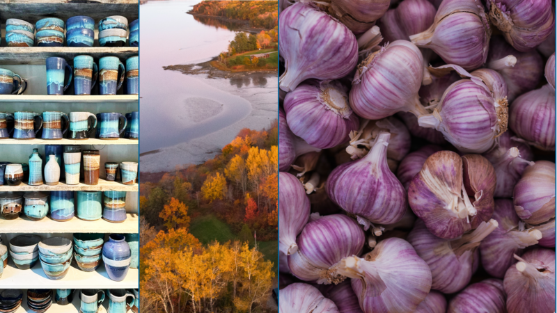 Garlic and Art Festival