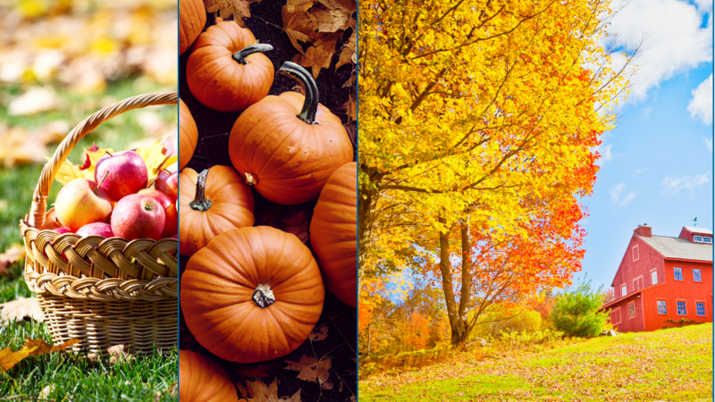 First Day of Fall 2026