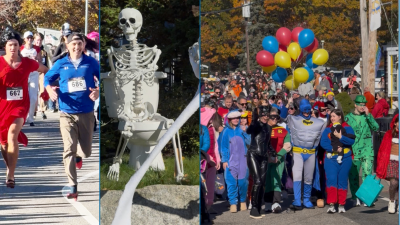 OgunquitFest 2026